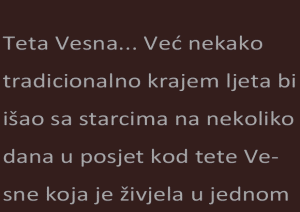 Teta Vesna