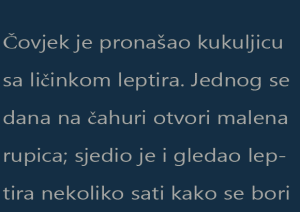 Čovjek je pronašao kukuljicu sa ličinkom leptira